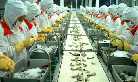 Một công ty thuỷ sản Việt Nam bị Trung Quốc cấm nhập khẩu vì liên quan đến kiểm dịch COVID-19