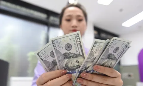 Khi doanh nghiệp trăm tỷ, nghìn tỷ chủ yếu vay nợ…