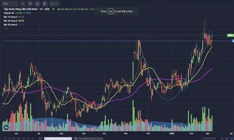 Cổ phiếu lao dốc cả loạt, VN-Index mất sạch đà tăng tháng 8