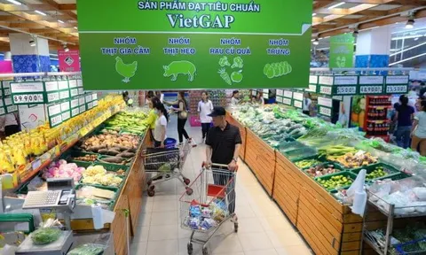 Vụ "rau VietGAP rởm" vào siêu thị: Cơ quan quản lý nói gì?