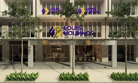 Cổ phiếu TGG mất 70% giá trị, Louis Capital muốn hủy phát hành hơn 54 triệu cổ phiếu