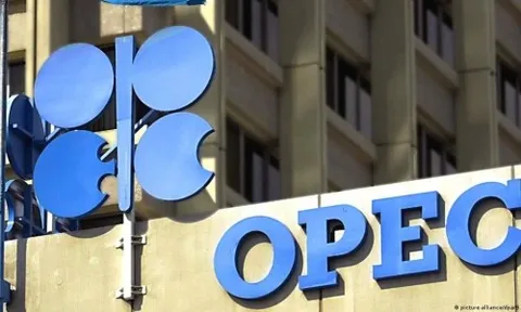 OPEC+ có thể giảm sản lượng 1 triệu thùng/ngày để vực dậy giá dầu