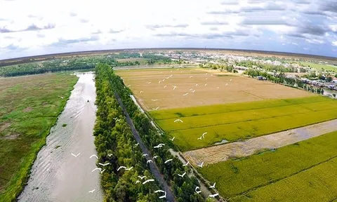 Hệ lụy từ việc cho thuê đất trái thẩm quyền tại xã Thạch Mỹ: Cả hệ thống chính quyền vào cuộc, không thanh lý nổi hợp đồng thuê đất trái pháp luật!