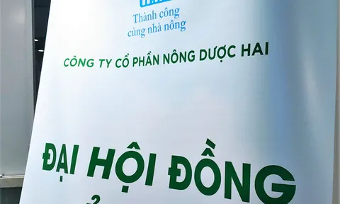Agribank kê biên thêm 4 khu đất của công ty liên quan ông Trịnh Văn Quyết