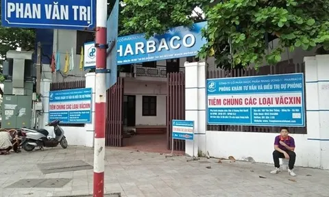 Cần rà soát việc quản lý, sử dụng đất của Pharbaco tại số 85 Tôn Đức Thắng, Hà Nội