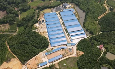 Bắc Giang: Đến bao giờ Công ty Dũng Giang mới khắc phục sai phạm tại dự án trại chăn nuôi lợn?