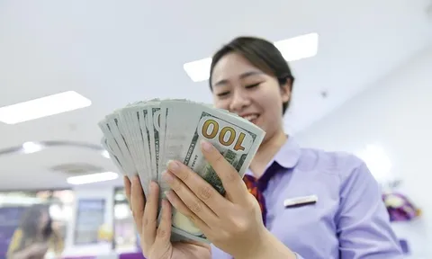 Tỷ giá USD/VND trên thị trường chính thức tiếp tục tăng trong phiên đầu tuần