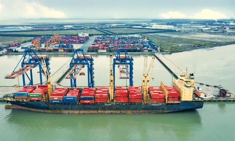 9 tháng, Tracodi đạt 436,9 tỷ đồng lợi nhuận sau thuế