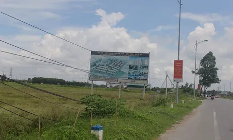 Đống tiền chôn trong đất bỏ hoang, Hà Nội quyết thu hồi hàng loạt dự án