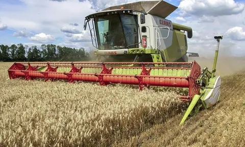 Giá ngũ cốc tăng vọt khi Nga rút khỏi thoả thuận xuất khẩu với Ukraine