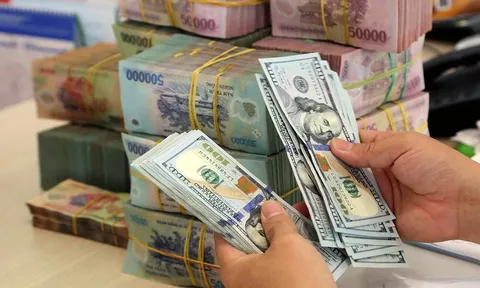 Áp lực mất giá VND sẽ giảm trong năm 2023