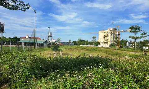 Hoang phí 'đất vàng': Ôm hơn 4 ha 'đất vàng' rồi bỏ hoang