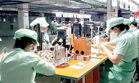 Doanh nghiệp Đài Loan cân nhắc “kế hoạch B” ở Ấn Độ, Việt Nam
