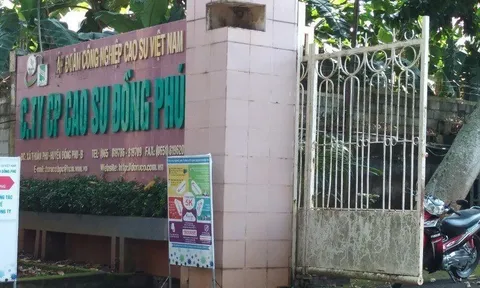 Cao su Đồng Phú (DPR): Chốt ngày chia cổ tức còn lại năm 2021 bằng tiền 20%