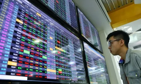 291 cổ phiếu giảm kịch biên độ, vốn ngoại vẫn miệt mài bắt đáy