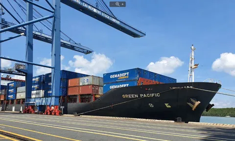 TCT Hàng hải Việt Nam vượt chỉ tiêu lợi nhuận năm sau 10 tháng