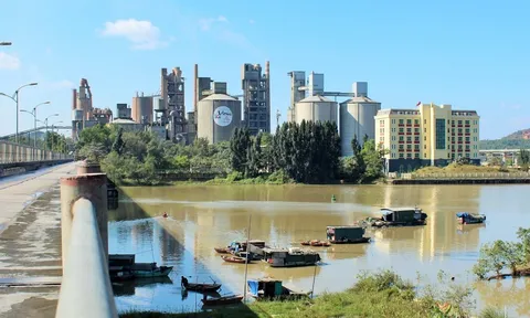 Bắt tạm giam Chủ tịch HĐTV Xi măng Vicem Hoàng Thạch