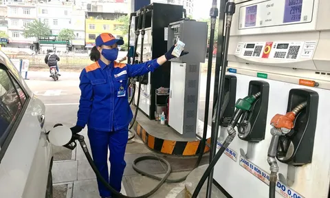 Giá xăng dầu hôm nay 19/11: Rớt thảm 2 tuần liên tiếp