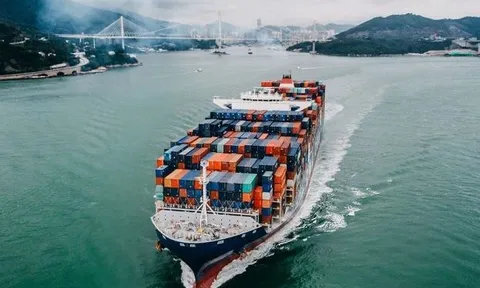 Xuất khẩu sụt giảm mạnh ở hầu hết các thị trường lớn như Mỹ, Anh, ASEAN, Hàn Quốc