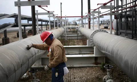 Giá xăng dầu hôm nay 25/11: Vững đà giảm?