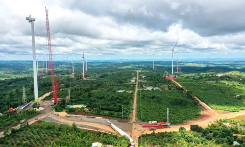 Đăk Lăk: Thanh tra Chính phủ 'điểm tên' nhà máy điện gió của Trung Nam Group và nhiều dự án sai phạm về đất