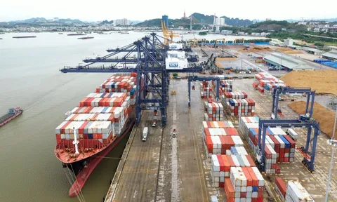 Nhu cầu toàn cầu suy yếu, đơn đặt hàng sản xuất của Trung Quốc, Việt Nam giảm mạnh