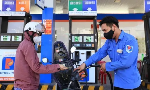 Giá xăng dầu hôm nay (8-12): “Rơi tự do”