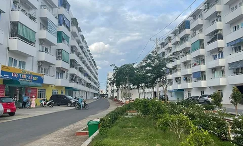 Doanh nghiệp kêu trời vì một cửa 'tắc' hơn nhiều cửa