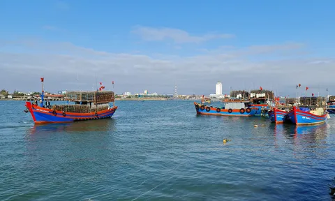 Hé lộ góc khuất cò ngư dân đi biển: Ngáo đá đi biển dài ngày
