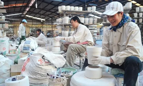 Số lượng doanh nghiệp gia nhập thị trường tăng cao