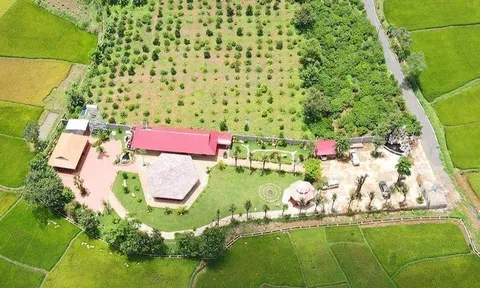 Khó quản lý biệt phủ, homestay trên đất nông nghiệp