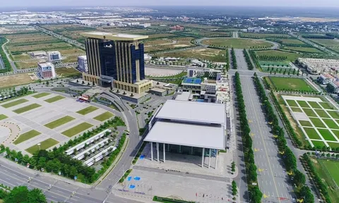 Bình Dương sẽ thu hồi và chuyển mục đích sử dụng hơn 1.700ha đất trồng lúa