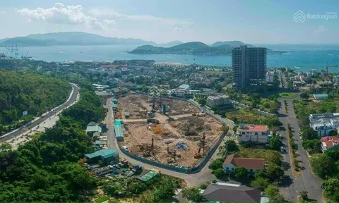 Vắng bóng nhà giá rẻ, đất nền sôi động