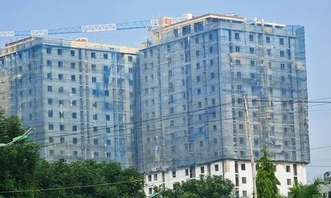 Xử phạt chủ đầu nhà ở xã hội ở Thanh Hóa chưa nghiệm thu đã cho dân vào ở