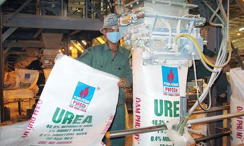 Sau năm lãi đột biến hơn 6.400 tỷ đồng, Đạm Phú Mỹ đặt mục tiêu lợi nhuận năm 2023 giảm hơn một nửa