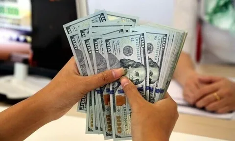 Giá USD hôm nay 30.1.2023: Duy trì ở mức thấp