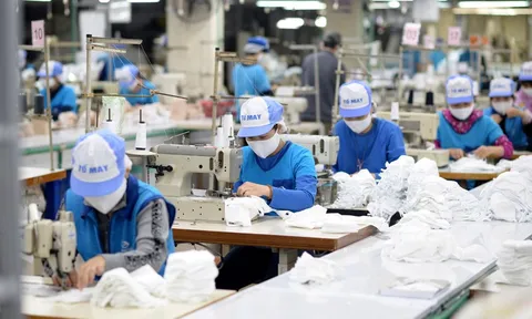 Khai phá “mỏ vàng” nội địa