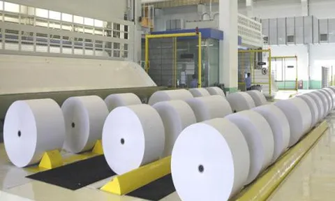 Công ty bán giấy vệ sinh lợi nhuận sụt giảm