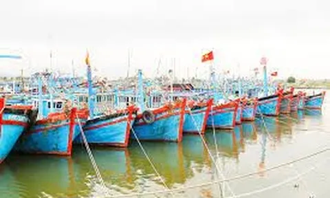Thủ tướng ban hành ‘Kế hoạch hành động’ gỡ thẻ vàng IUU