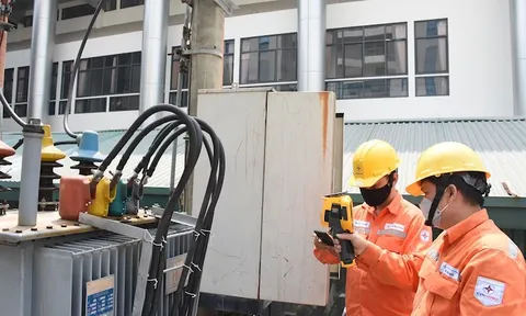 Đề nghị Nhà nước tiếp tục nắm 100% vốn tại EVN