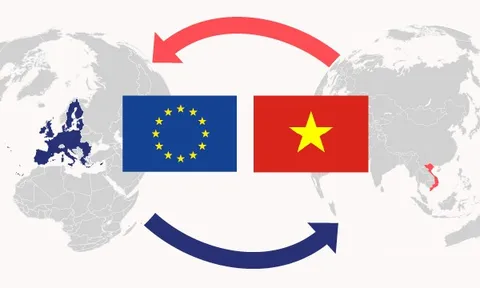 Tận dụng lợi thế FTA để xuất khẩu