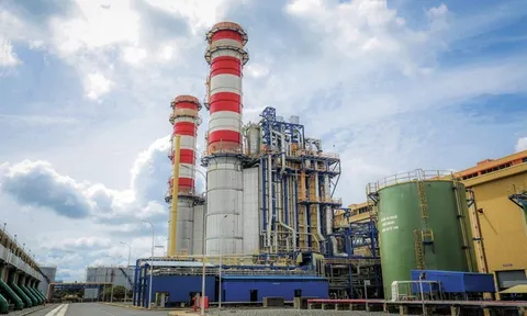 Hoá chất Đức Giang dự báo lợi nhuận năm 2023 giảm 50%, chuẩn bị khởi công dự án Nghi Sơn