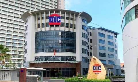 DIC Corp: Cổ đông lớn ‘xả’ hàng triệu cổ phiếu