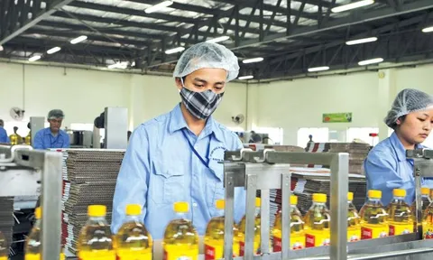 Vocarimex tạm hoãn trả cổ tức đặc biệt 10.000 đồng/cổ phiếu