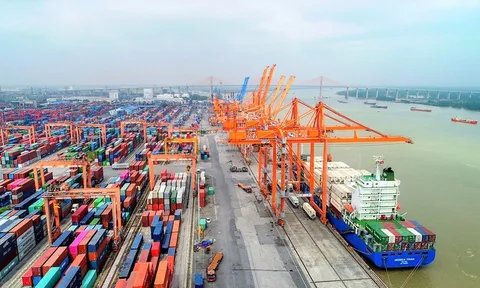 GMD còn lại gì sau khi bán ‘con cưng’ Nam Hải - Đình Vũ?