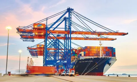 Ủy ban Chứng khoán xử phạt Gemadept, Louis Holdings và công ty thành viên của Petrolimex 320 triệu đồng