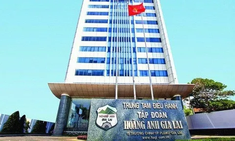 HAGL dùng 30 triệu cổ phiếu Chăn nuôi Gia Lai bảo lãnh cho khoản vay của một công ty con