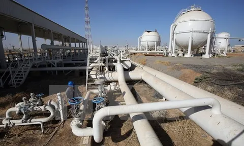 Giá xăng dầu hôm nay 15/3: Rơi về mức thấp nhất trong hơn 3 tháng