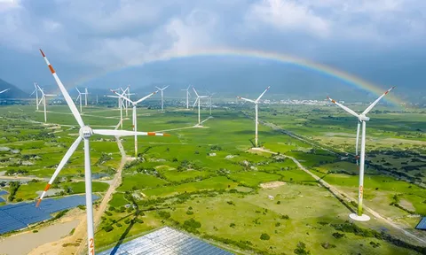 Ngân hàng đối mặt nguy cơ nợ xấu 58 nghìn tỷ đồng từ 34 dự án điện gió, điện mặt trời