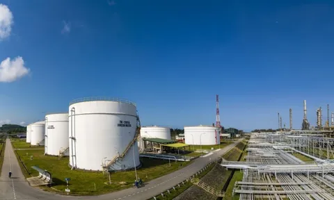 Lọc hóa dầu Bình Sơn đặt mục tiêu lợi nhuận giảm 88% trong năm 2023